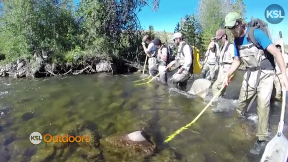 KSL Outdoors with Trout Unlimited on East Fork of the Bear